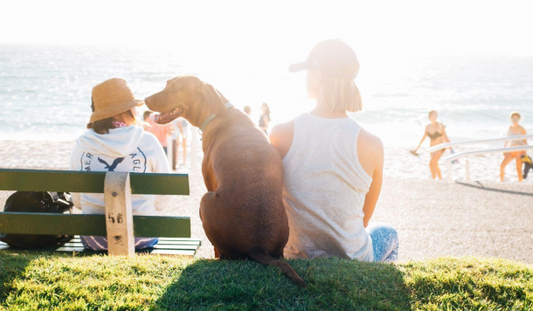 10 Tips For Exercising In Summer Heat