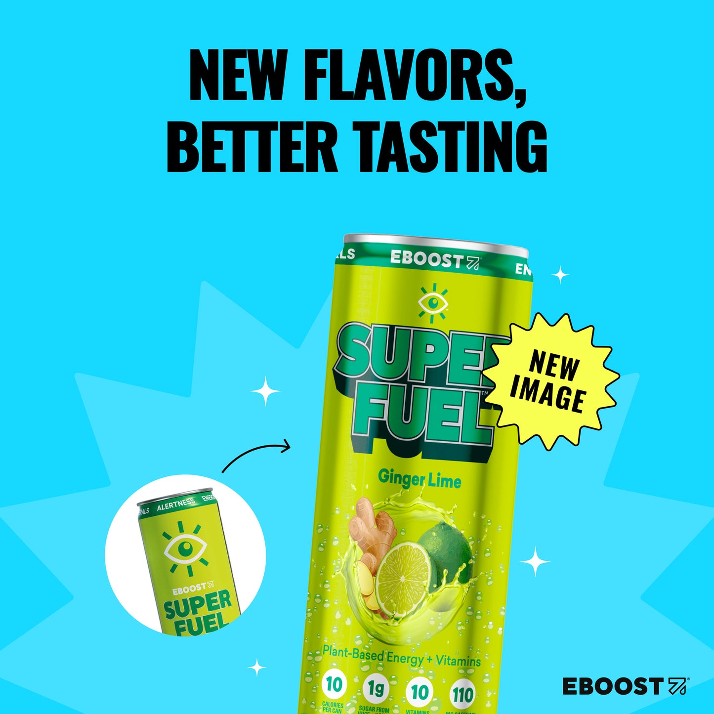 Ginger Lime / Case (12)