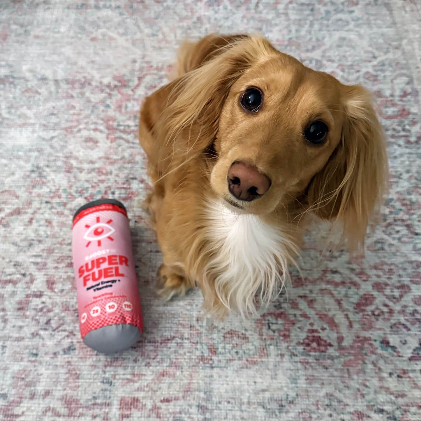 Dog Toy - Pink